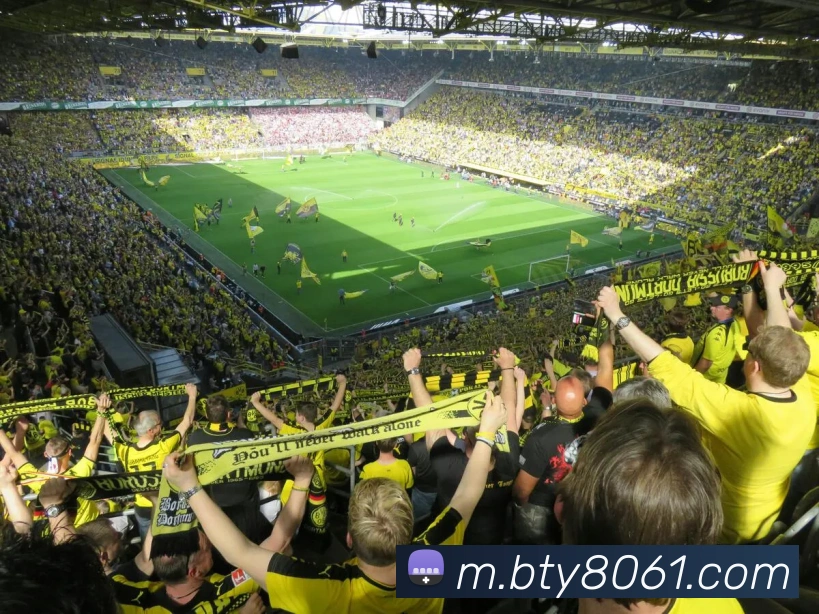 多媒体互动体验